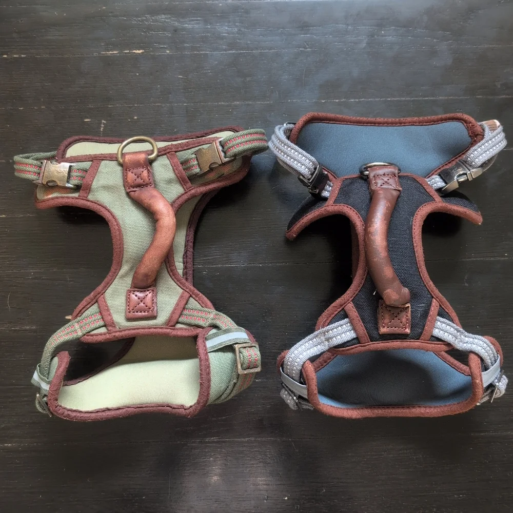 Set of 2 Reddy Medium Dog Harnesses